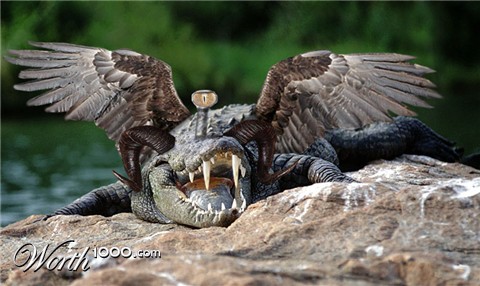 Photoshop Design by alesiphoto