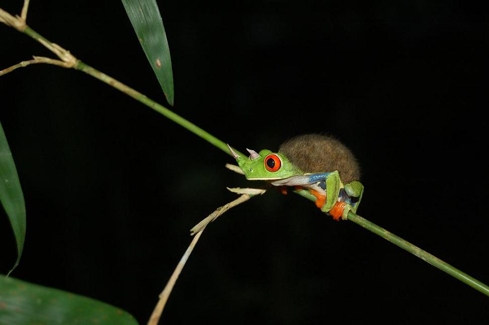 Diseño de Photoshop por unihunter para DesignCrowd (Community Contests) | Diseño #8966925