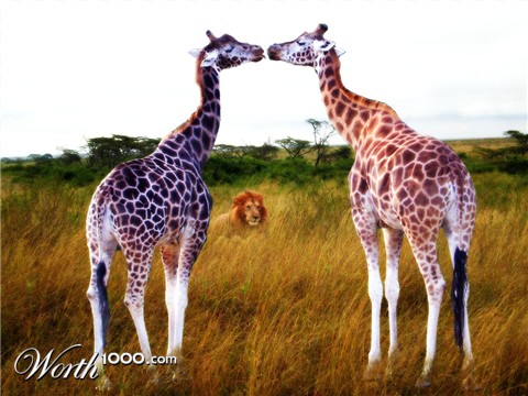 Photoshop Design by SkyJustice
