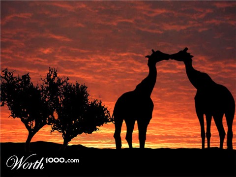 Photoshop Design by dhallfxs