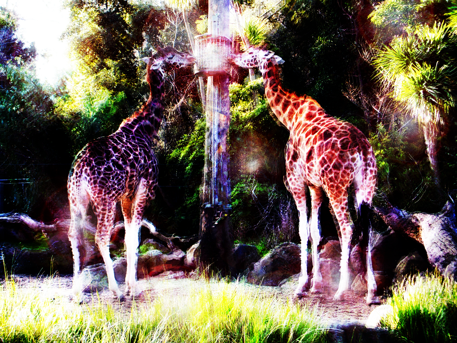 Photoshop-Design von Otex225 für DesignCrowd (Community Contests) | Design #8967299