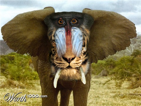 Photoshop Design by rochelle55