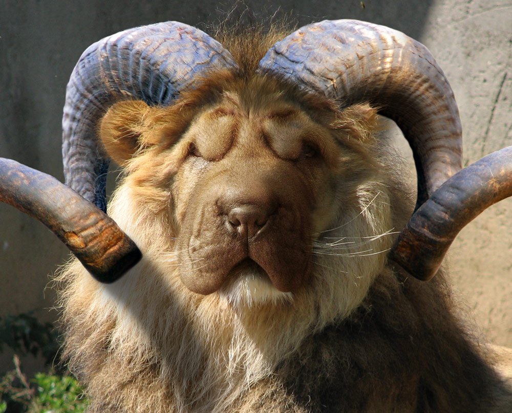 Photoshop-Design von robotlick für DesignCrowd (Community Contests) | Design #8966783