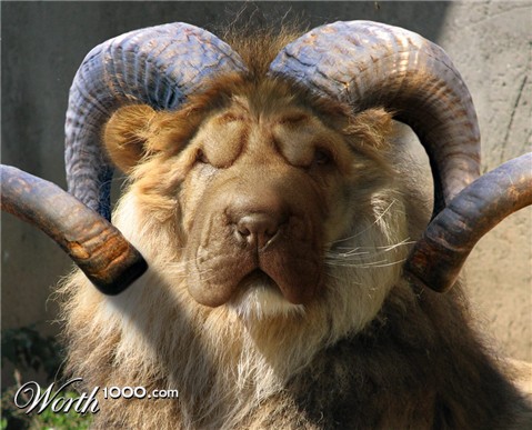 Photoshop Design by robotlick