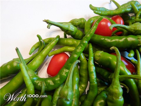 Photography by kimmee