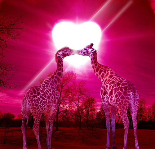 Photoshop Design by yafico for DesignCrowd (Community Contests) | Design #8967291