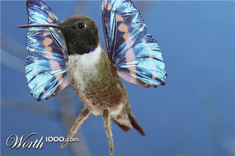 Photoshop Design by bicyclewilli