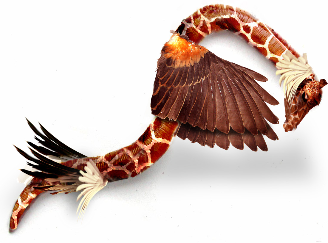 Photoshop Design by Terrence for DesignCrowd (Community Contests) | Design #8966940