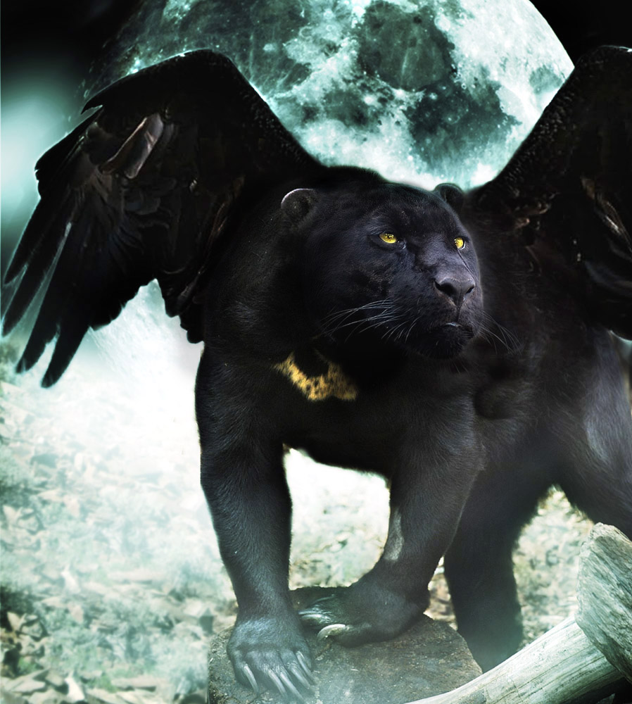 Photoshop Design by Bebo21 for DesignCrowd (Community Contests) | Design #8967054