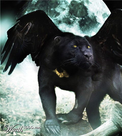 Photoshop Design by Bebo21