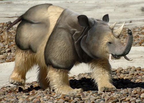 Photoshop Design by Sillyboi for DesignCrowd (Community Contests) | Design #8967015