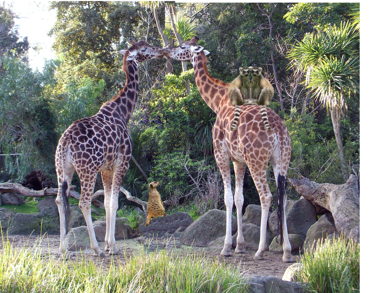 Photoshop-Design von stewy27 für DesignCrowd (Community Contests) | Design #8967321