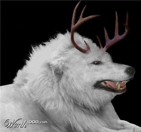 Photoshop Design by mercermitch23