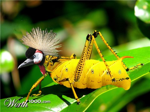 Photoshop Design by sudiptatatha