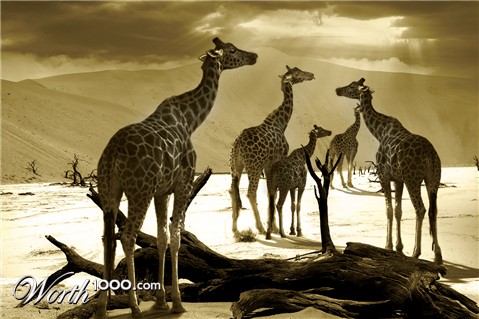 Photoshop Design by cstepSteve
