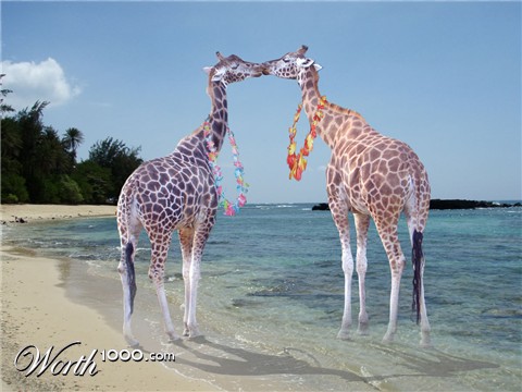 Photoshop Design by elgosso