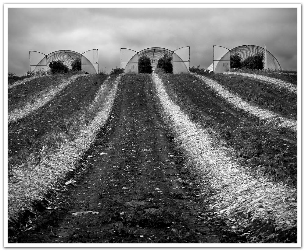 Fotografie von SigloV für DesignCrowd (Community Contests) | Design #8968358