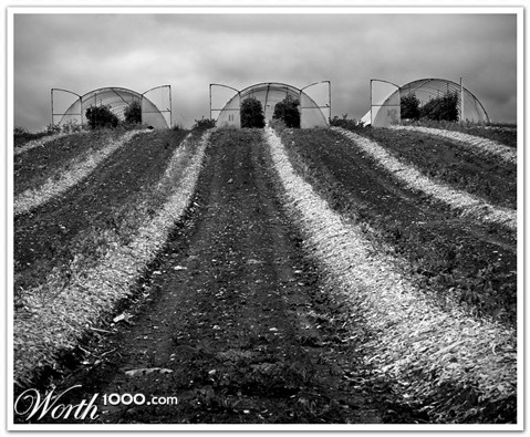 Photography by SigloV