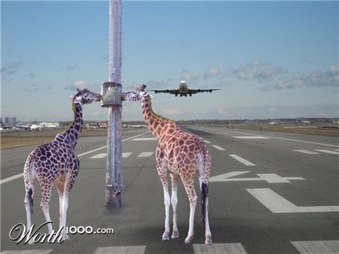 Photoshop Design by Squasch