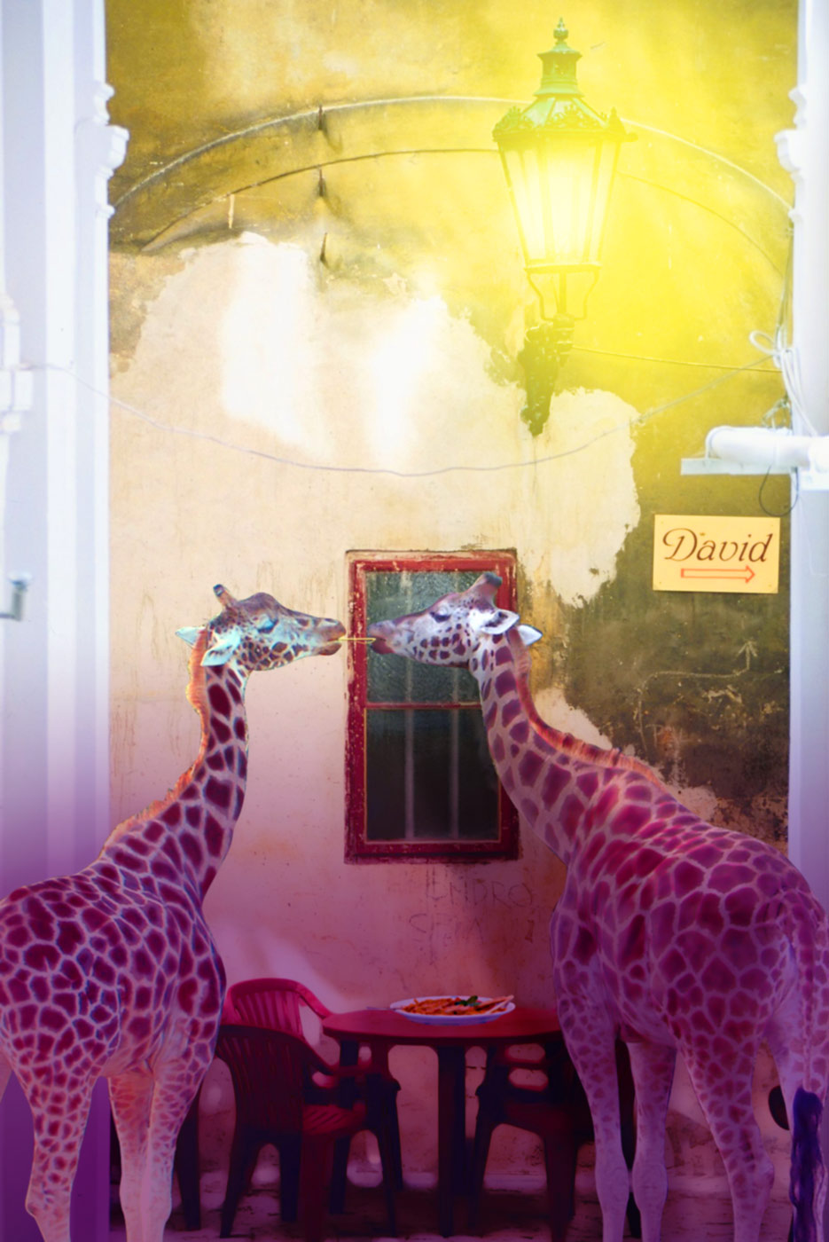 Photoshop Design by AnkJones for DesignCrowd (Community Contests) | Design #8967306