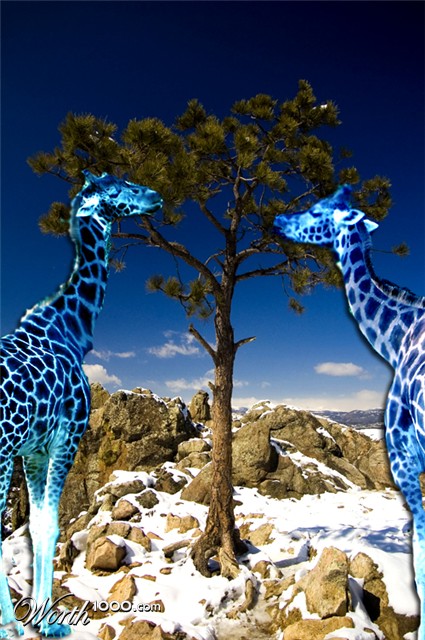 Photoshop Design by MarFloShe