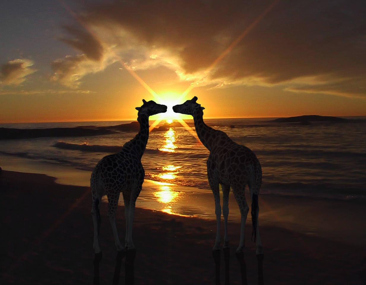 Photoshop Design by jooohn for DesignCrowd (Community Contests) | Design #8967368