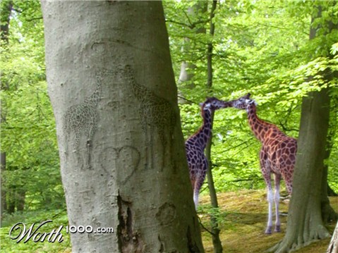 Photoshop Design by markelz1