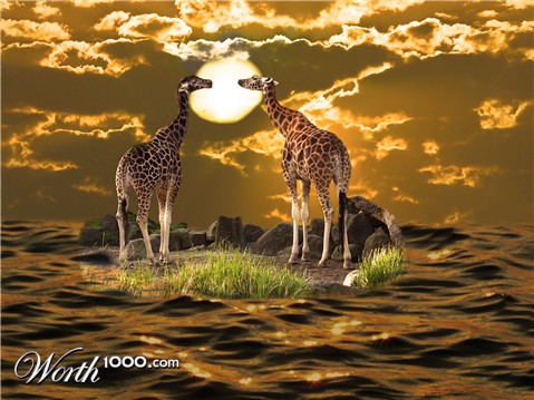 Photoshop Design by allanoora