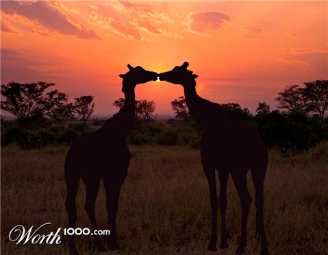 Photoshop Design by storyteacher2002