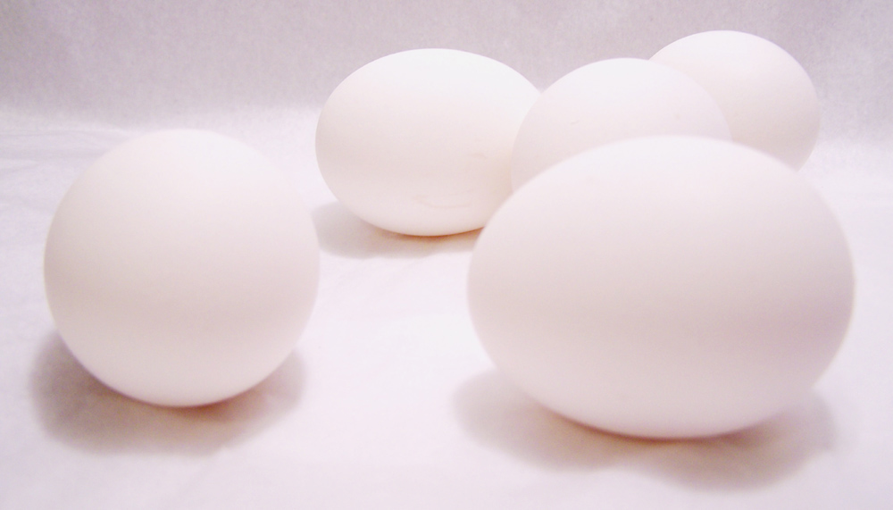 Photography by vpravda for DesignCrowd (Community Contests) | Design #8966494