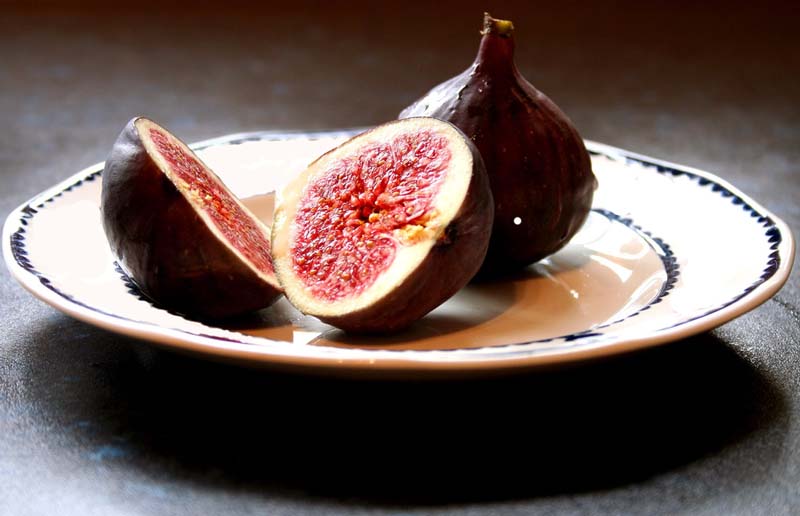 Fotografía por Ziqquratz para DesignCrowd (Community Contests) | Diseño #8964729