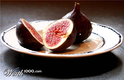 Photography by Ziqquratz