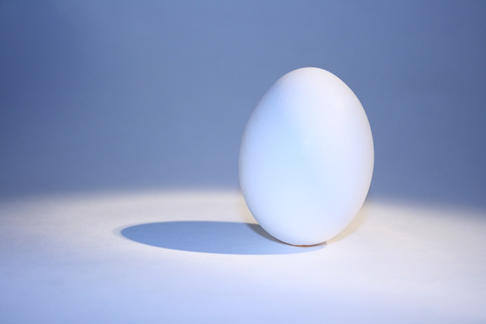 Photography by tmalone for DesignCrowd (Community Contests) | Design #8966525