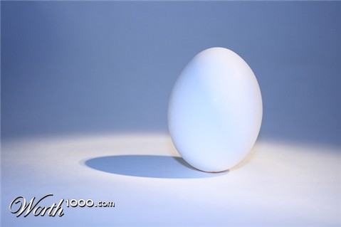 Photography by tmalone