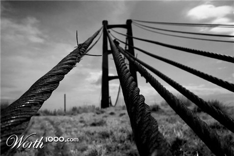 Photography by barmanmyk