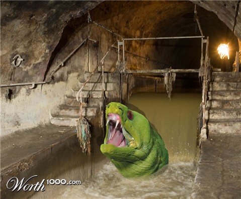 Photoshop Design by Cis4Cookie