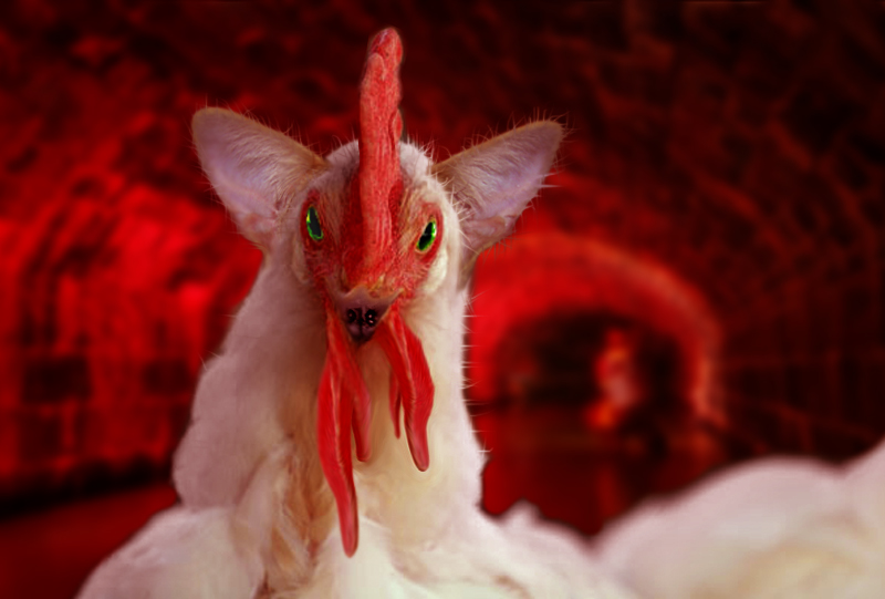 Photoshop Design by Junnoir for DesignCrowd (Community Contests) | Design #8967043