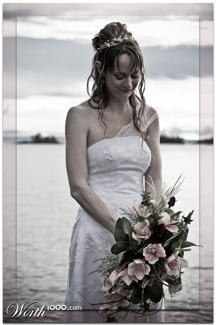 Photography by camoogle