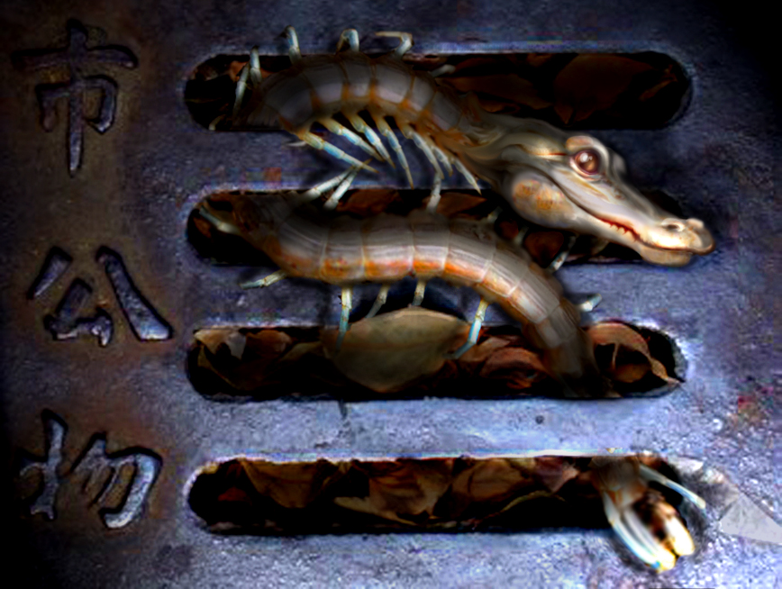 Photoshop Design by Solipse1 for DesignCrowd (Community Contests) | Design #8967063