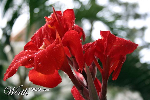 Photography by Ziqquratz