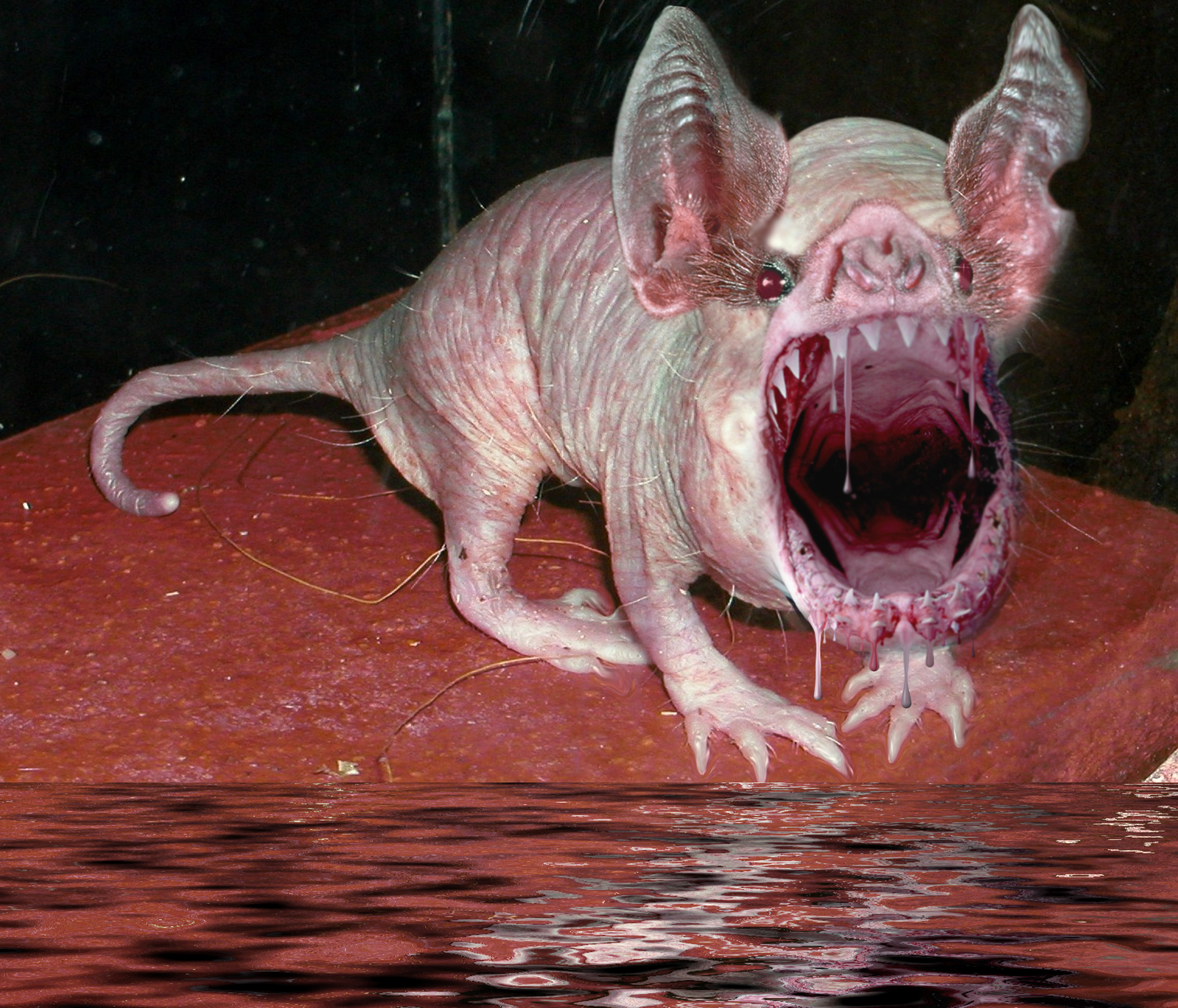 Design Photoshop par vlvette pour DesignCrowd (Community Contests) | Design #8967056