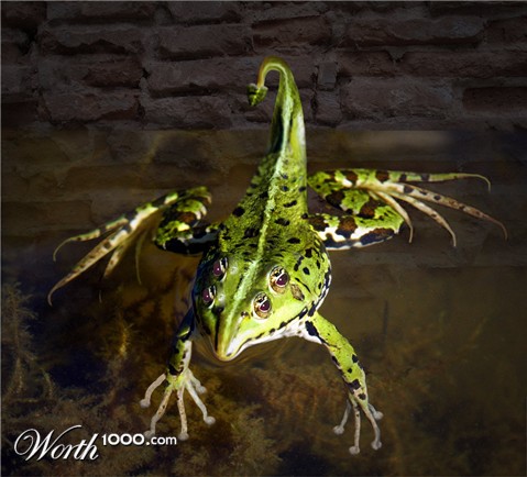 Photoshop Design by willibarb