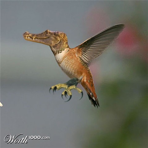 Photoshop Design by zaldyworth1000