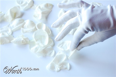 Photography by marymagdalyne