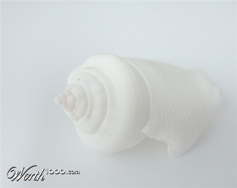 Photography by memool