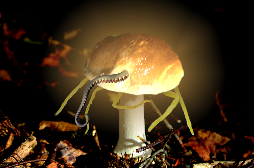 Photoshop Design by jkyle00 for DesignCrowd (Community Contests) | Design #8967170