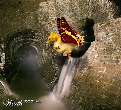 Photoshop Design by KaettvonM