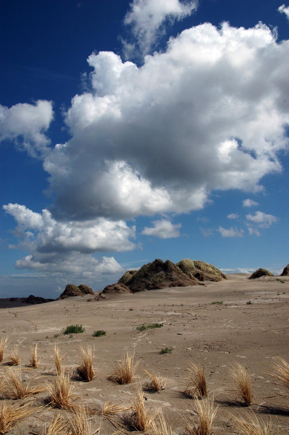 Photography by Roel1969 for DesignCrowd (Community Contests) | Design #8965104