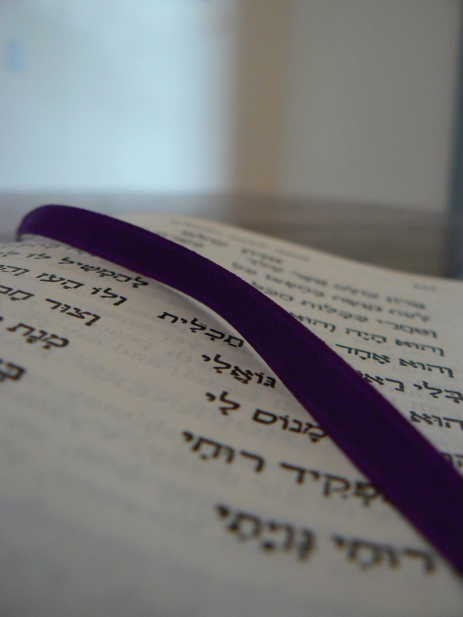 Photography by Stonee for DesignCrowd (Community Contests) | Design #8964935