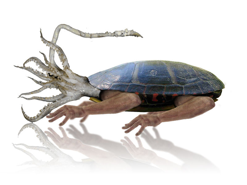 Diseño de Photoshop por Crumbles para DesignCrowd (Community Contests) | Diseño #8967205